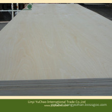White Birch Plywood for Packing Usage